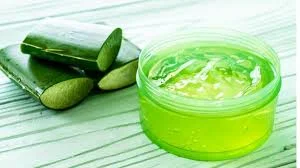🌍 The Cultural Significance of “Gel Ooru”