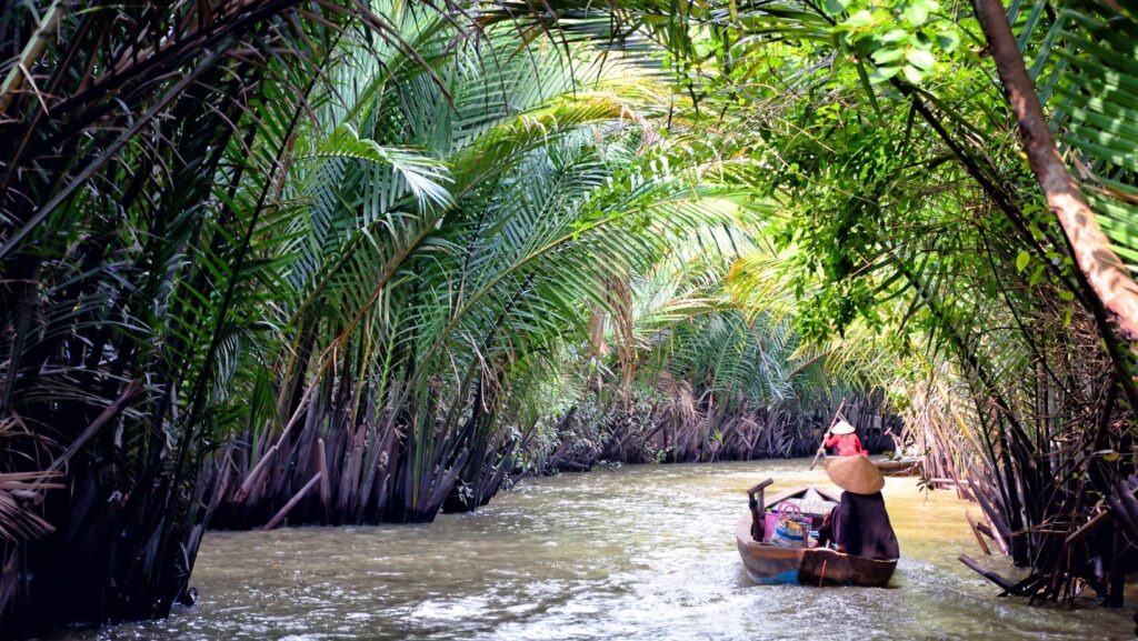 🌍 Who Can Benefit from VietnamReview.net?