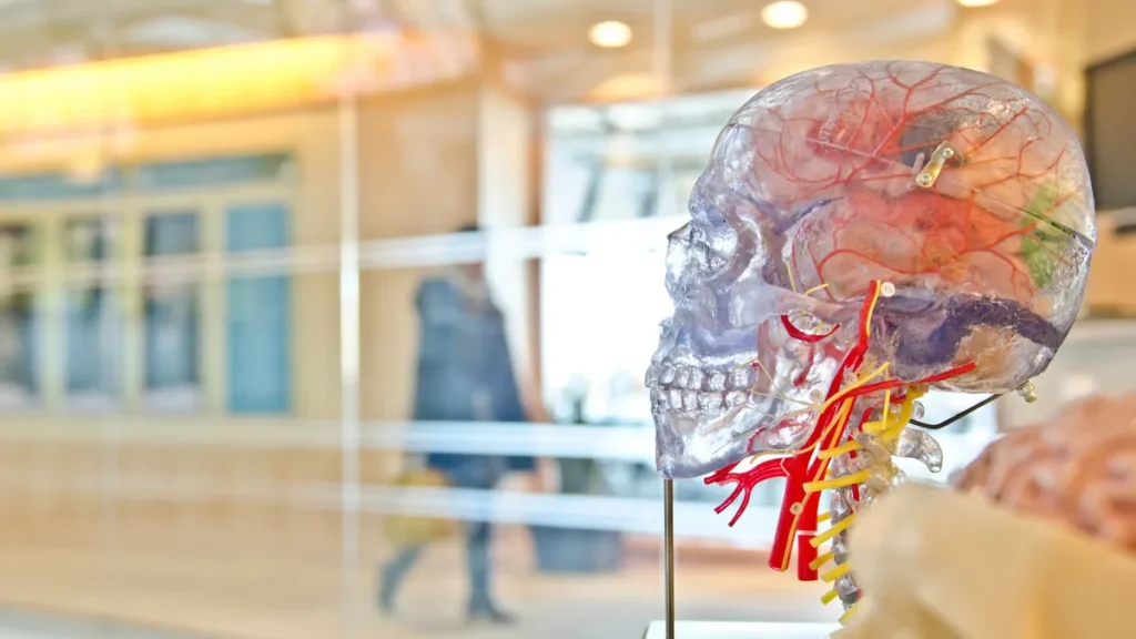 The Psychology of Strange Words: Why Qazichotnoiz Captures Attention